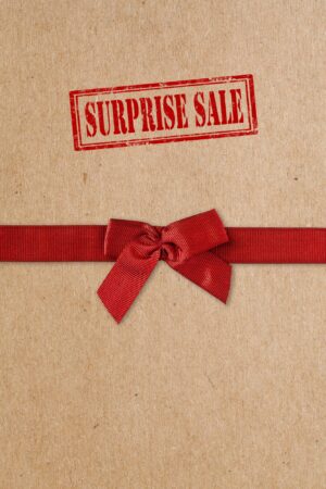 Livro Surpresa – Descubra uma nova história por apenas R$10!